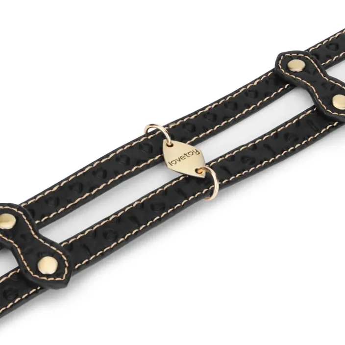 קולר צוואר BDSM כולל רצועה כפולה | Double-strap Collar