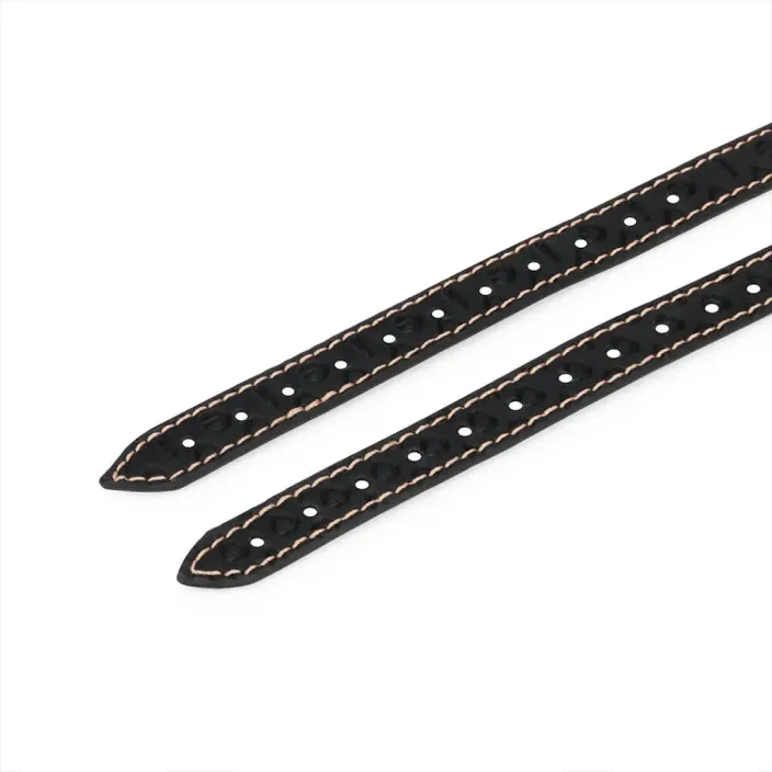 קולר צוואר BDSM כולל רצועה כפולה | Double-strap Collar