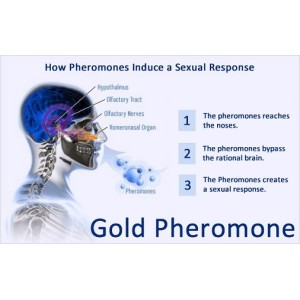 בושם פרומונים לאישה בניחוח פירותי מרענן | FM 18 PHEROMONE